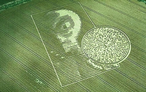 Alien Make The Crop Circles
