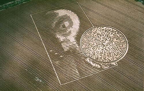 Alien face crop circle