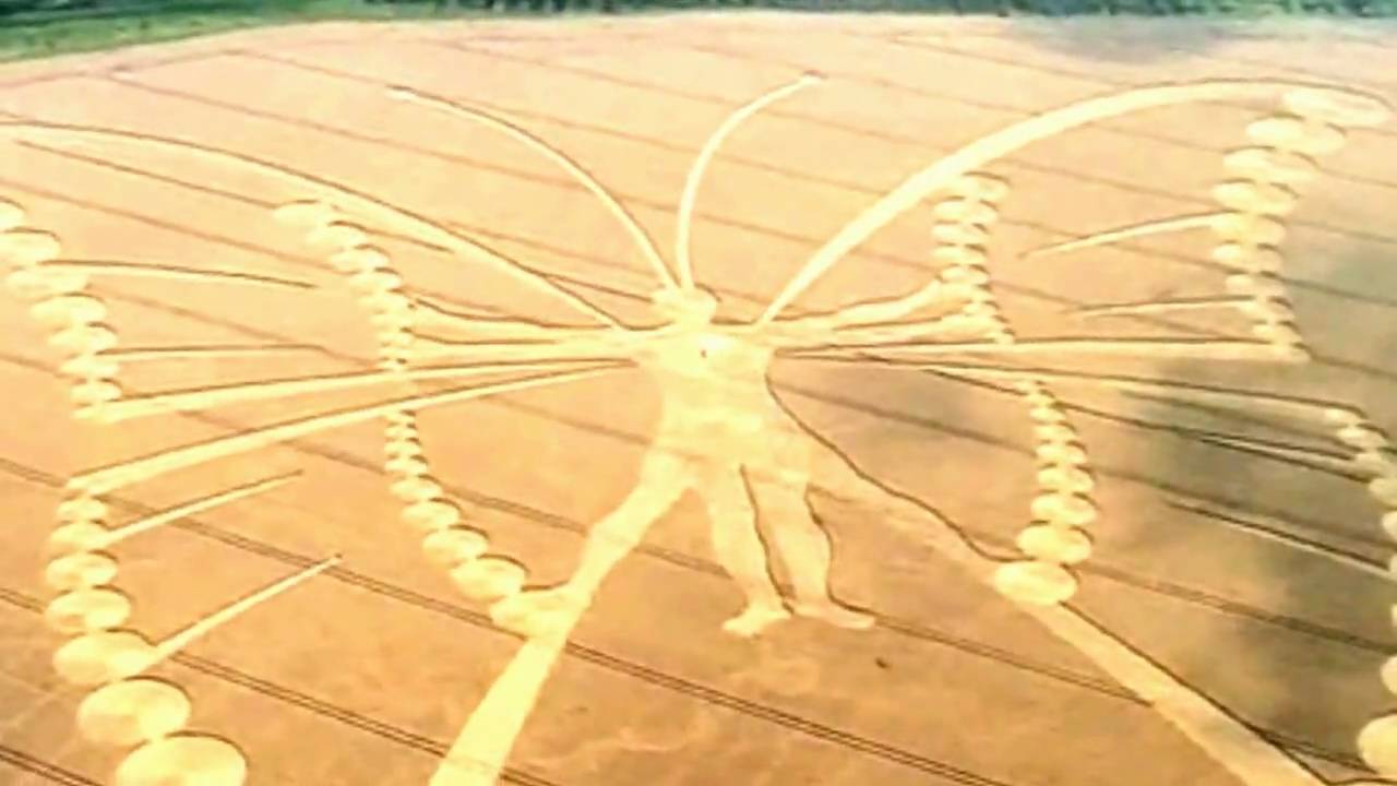 The human butterfly crop circle