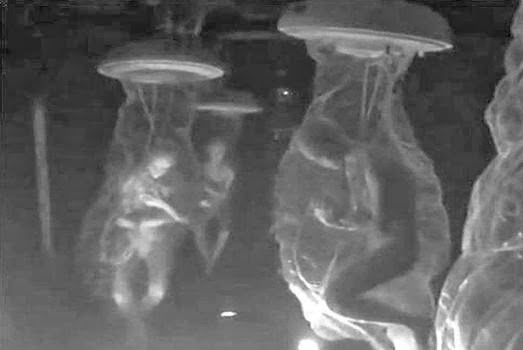 Aliens experiments on humans Dulce Base Nightmare Hall