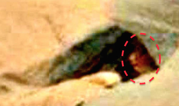 Fish shaped alien peering out of the cave on Mars