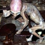 Top 20 Proof Of Aliens Pictures Ever Taken